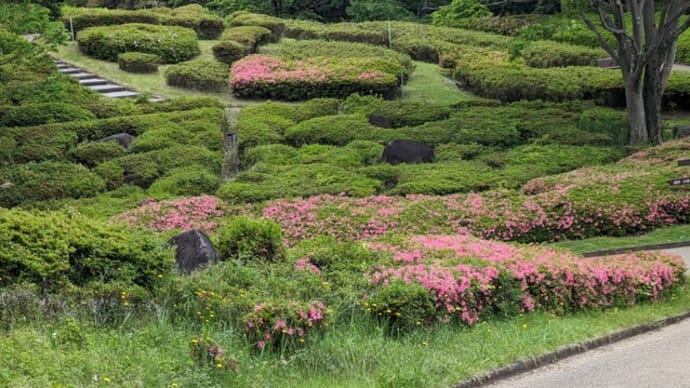 錦織公園の散策