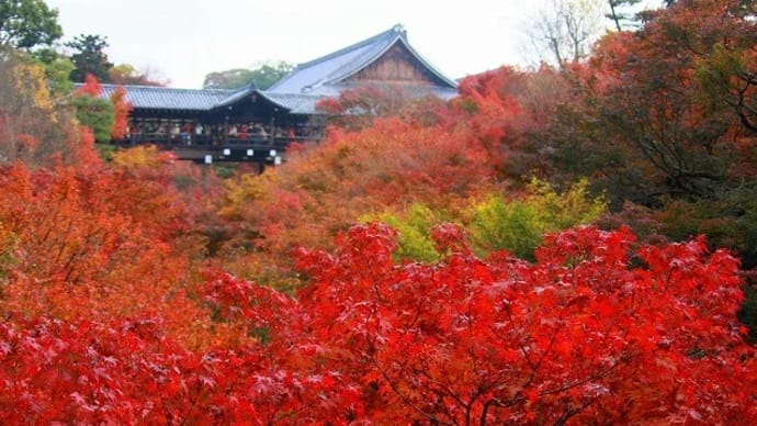 ●過去の京都の紅葉から(1) 東福寺 香林坊のイルミネーション2012年