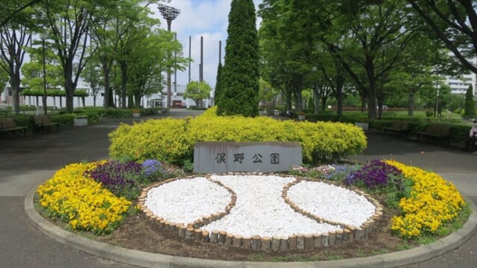 俣野公園バラ園