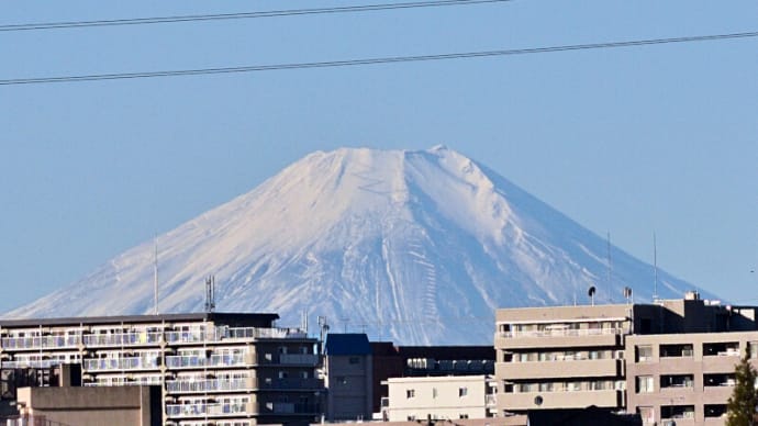 11月14日 再度白くなった富士山。