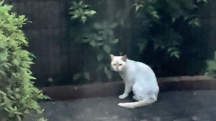 モデル代の請求か?