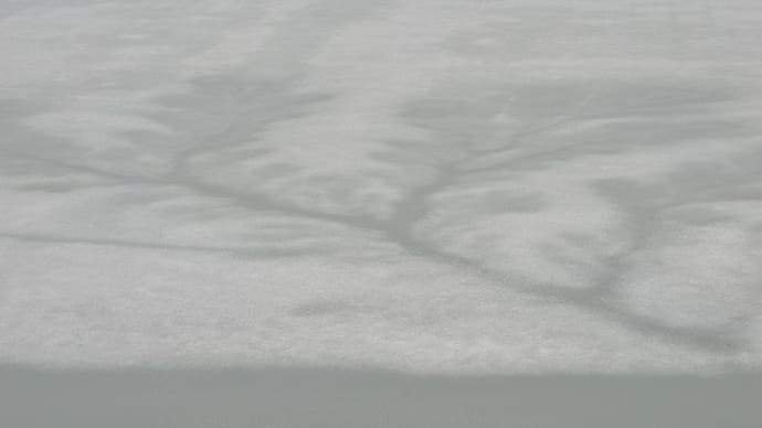 横手城、お堀の氷