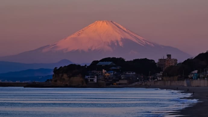 03/Feb 七里ヶ浜の朝焼けの富士山🗻と名残の月とクイナとヒクイナとニシオジロビタキ