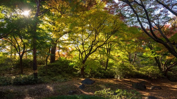 六義園攻略リハーサル