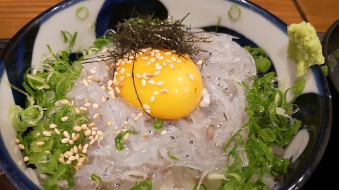 道後(8)鯛将:生しらす丼