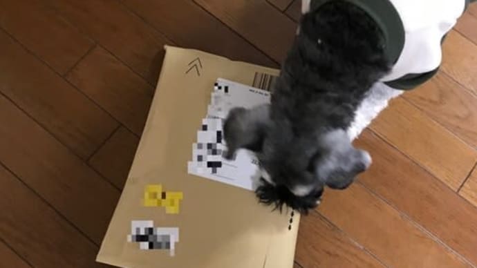これな~んだ? ^^;
