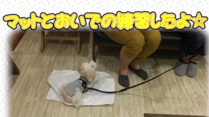 4月のしつけ方教室にご参加の皆さん