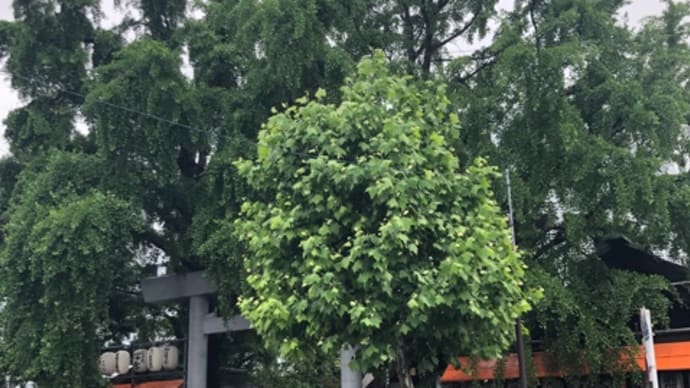 波除稲荷神社