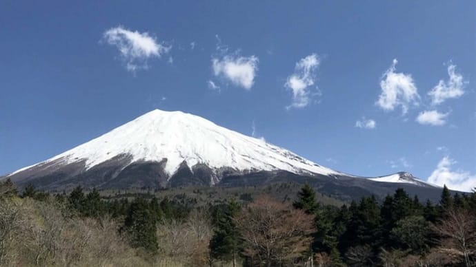 久しぶりの富士山南麓 ①