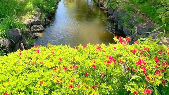 親水公園。
