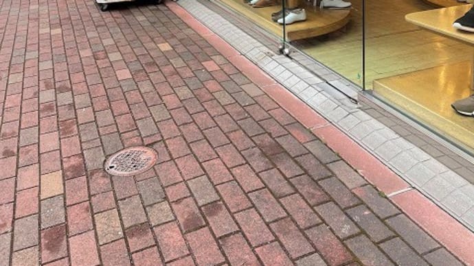 年は増えたが 雪がとけたら若返った
