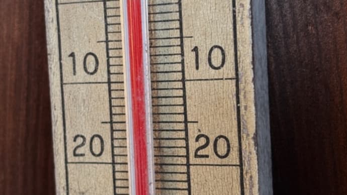 我が家も初氷が・・・