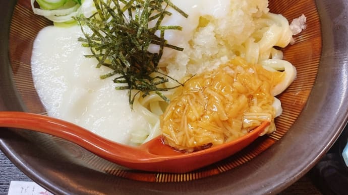 《大樹寺》は徳川将軍家の菩提寺 & 讃岐うどん@岡崎市