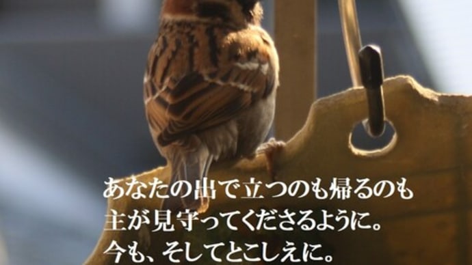 しあわせに生きたい?