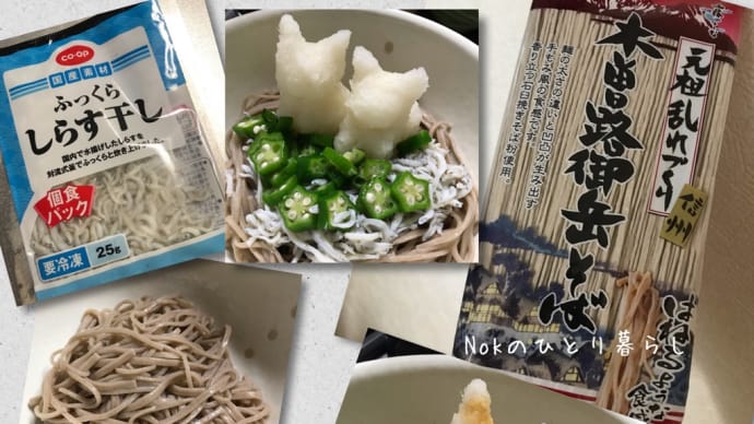 しらす干しの「おろしアート蕎麦」