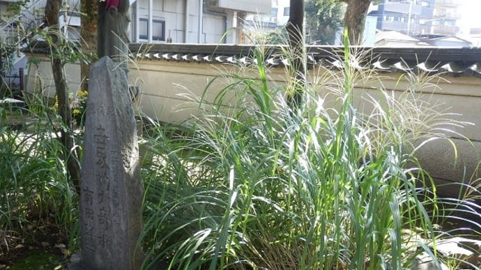 片隅に昔の賑わい見る石碑/芝居相撲にサーカスお化け(蓮馨寺)