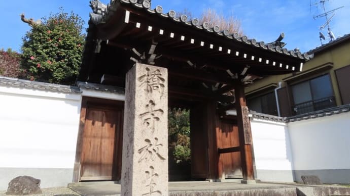 橋寺から観流橋まで~宇治川散歩2023/2上旬(1)