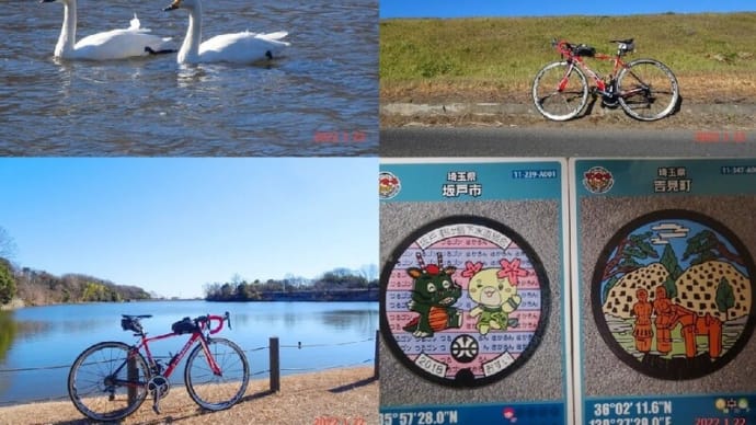 越辺川の白鳥・吉見界隈~マンホールカード