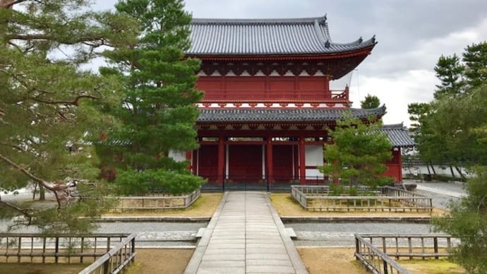 眼が円相の中心にある「八方にらみ龍」 「龍たずねて―」シリーズⅤ ―妙心寺―