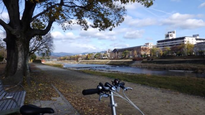 胃カメラを飲んだり、自転車で街に出かけてみたり