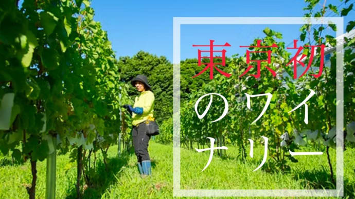 東京ワイナリー