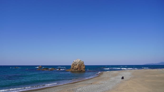 絶景の持石海岸でランチ
