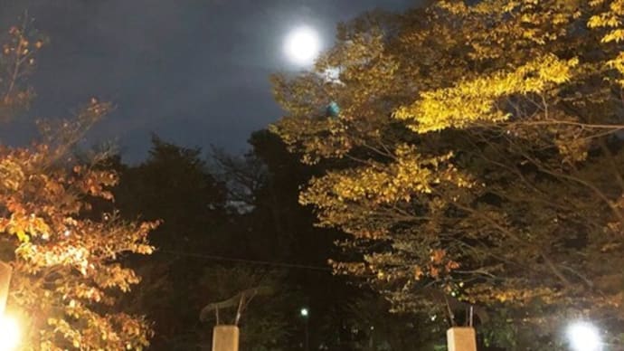 2021年 秋の衣替え🐥☆彡
