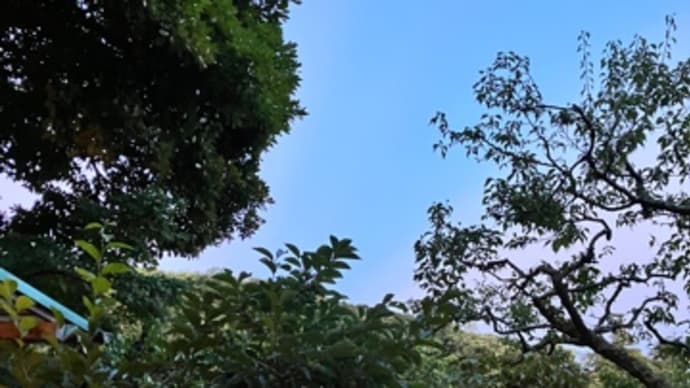 夏の夜