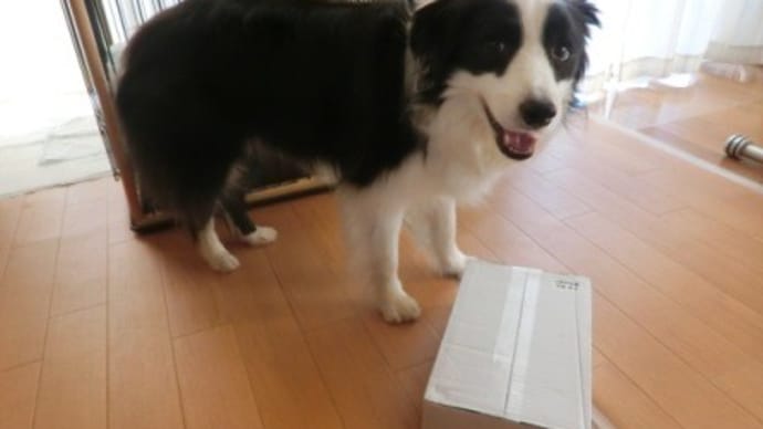 ふるさと納税の返礼品(新潟県南魚沼市) 届きました