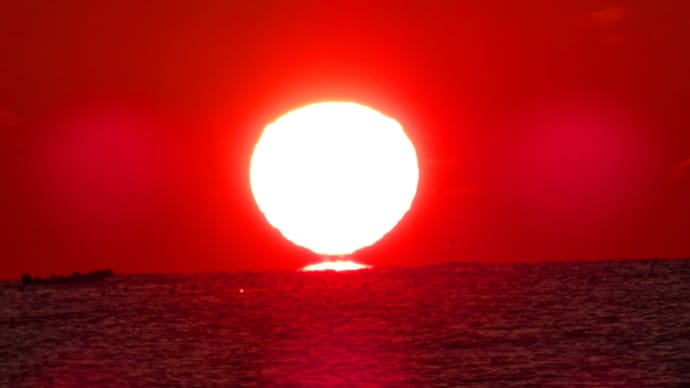 日の出・内浦湾2024年3月7日