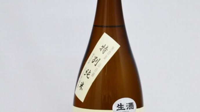 旭菊酒造の生原酒　2種入荷しています！