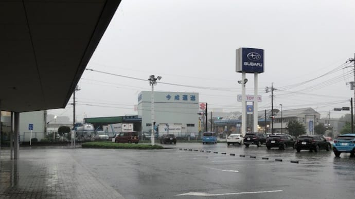 始めました