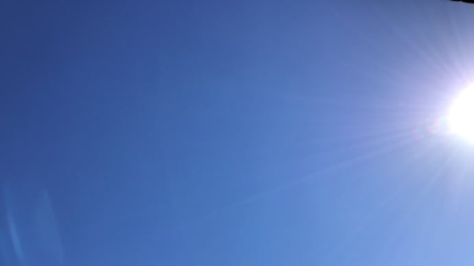 撮った写真を眺めるのは