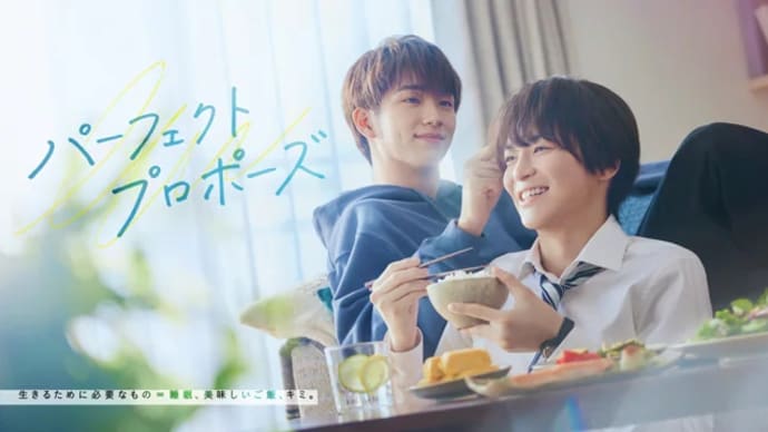 『パーフェクトプロポーズ』イッキ見した