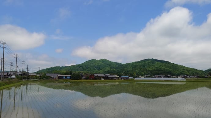 荒木の水田に伊賀小富士「南宮山」の水鏡、自画自賛。