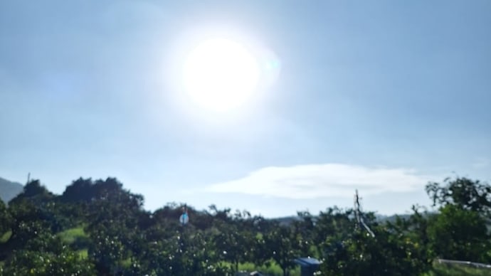 みかん山&明言