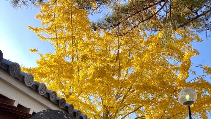 名塩も紅葉の季節