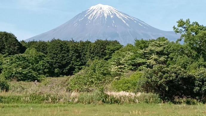 気遣いの支援に感謝して