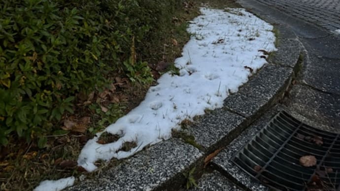 今日もお疲れ様でした