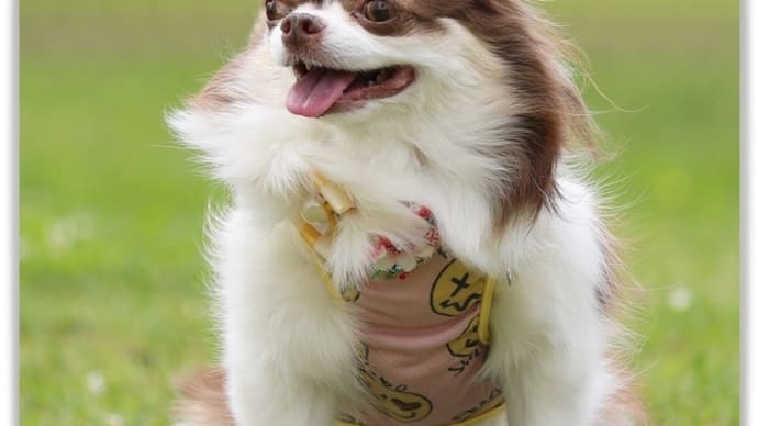 やって良かった!(^^)/