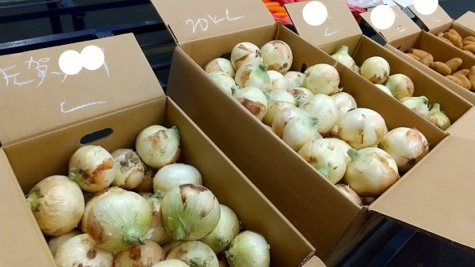 熊本:八百屋のブログ、更新しました。玉ねぎ、高値更新中!