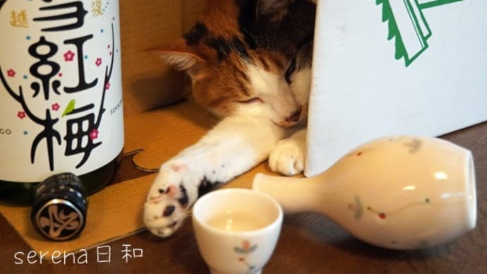 猫とお酒