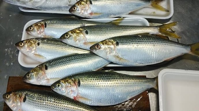 母の味 懐古