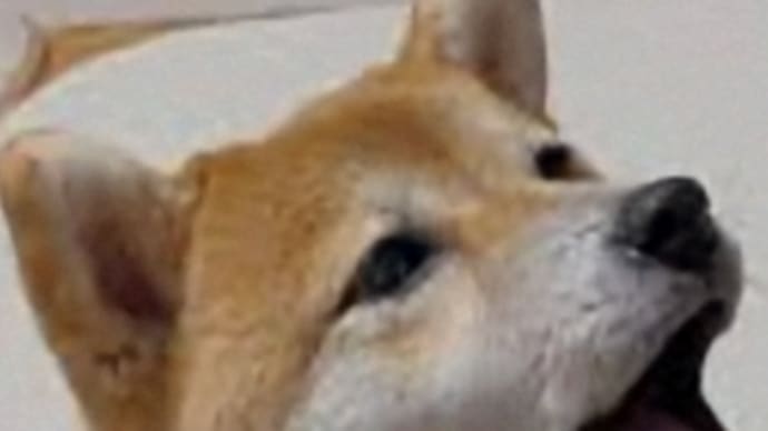 出来ないよー