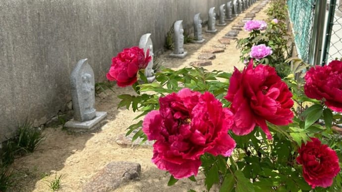 寺院は 心の高揚を楽しむワンダーランド
