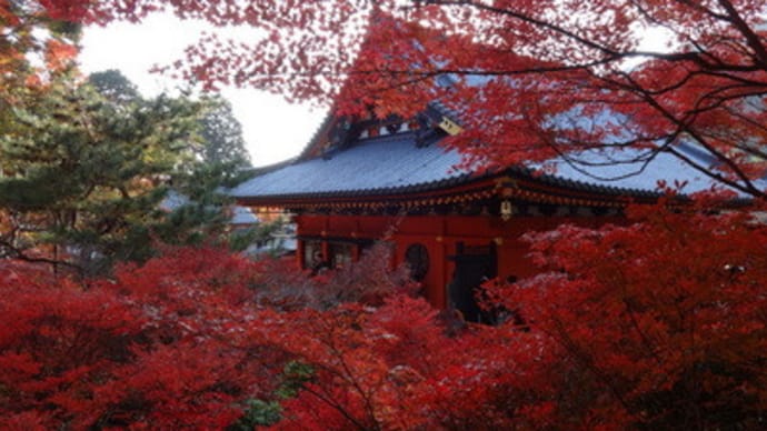 毘沙門堂の紅葉（後編）　＠　京都妖怪探訪（３２２）