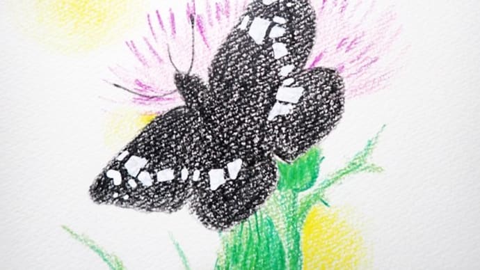 202 「花や虫を描こう」イラスト講座