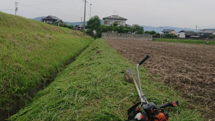 充実の日曜日