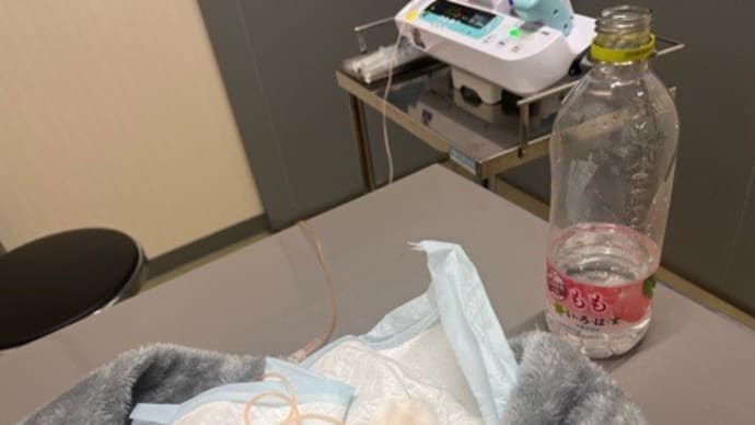 駿平、抗がん剤治療⑥ (1クール目ラスト)