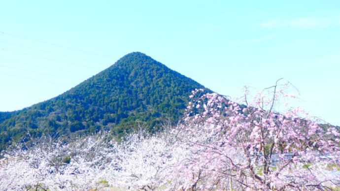 春の乗客